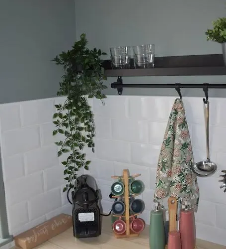 La P'tite Arrageoise Hébergement de vacances